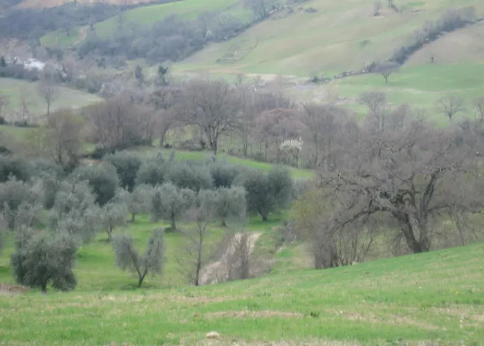 Agriturismo Casa Fibbianello