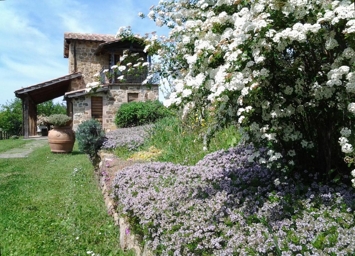 Casa Fibbianello Alloggio per agriturismo Semproniano