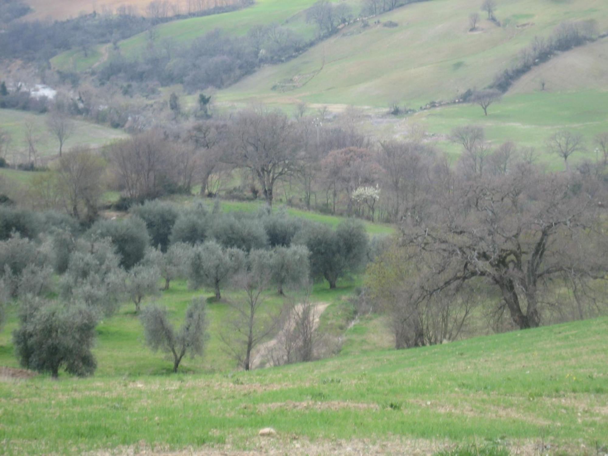 Casa Fibbianello Semproniano