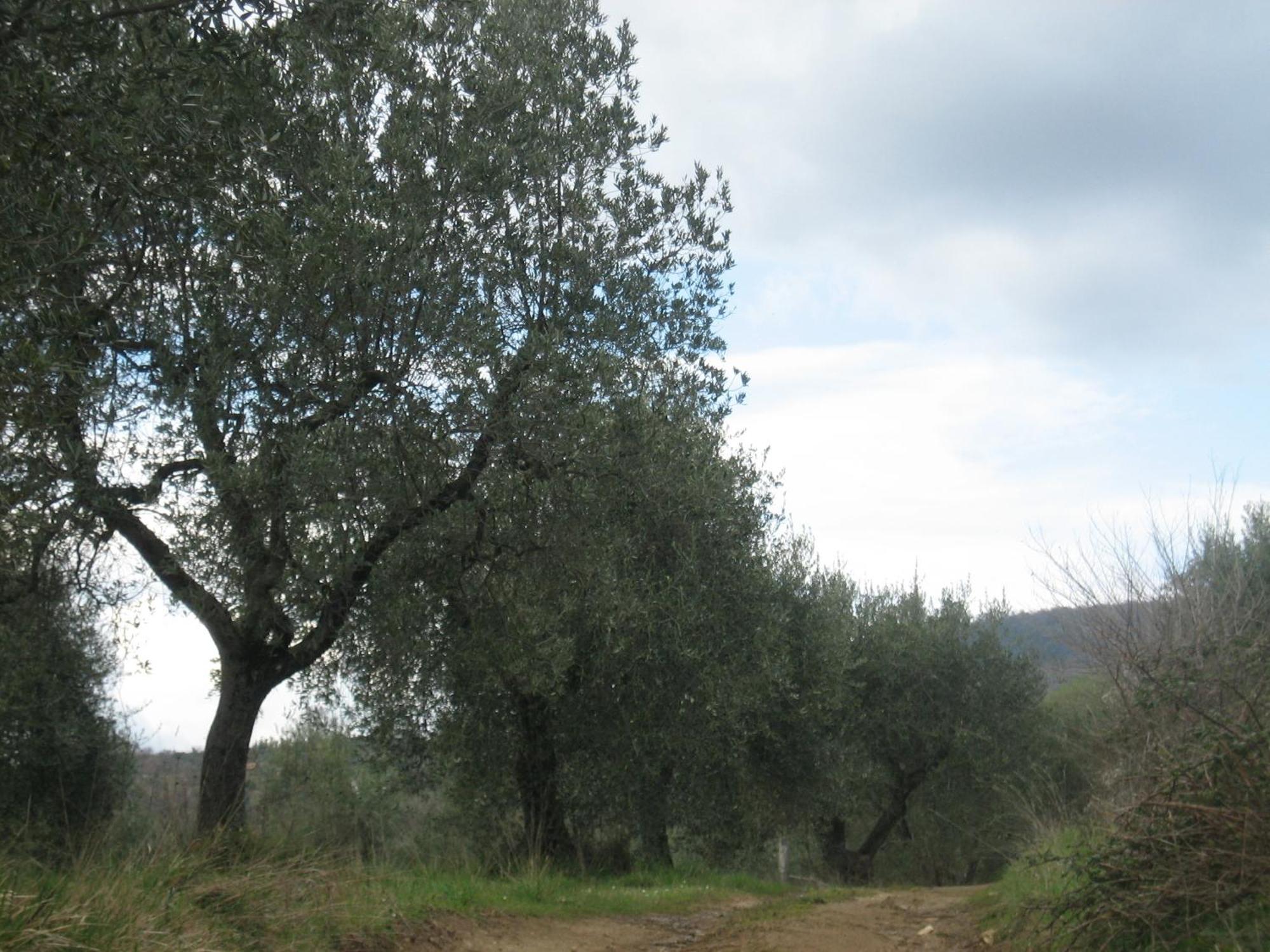 Alloggio per agriturismo Casa Fibbianello